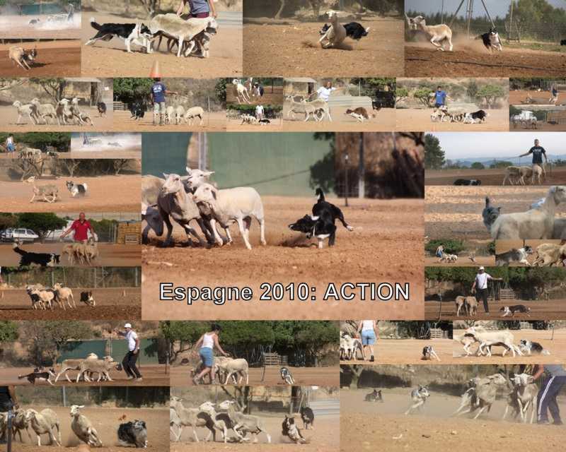 action